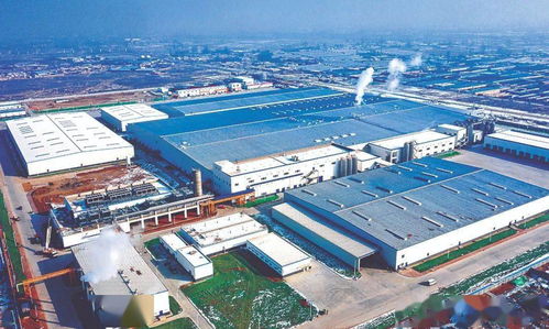 看武威這個 億元級 大項目的 武威效率