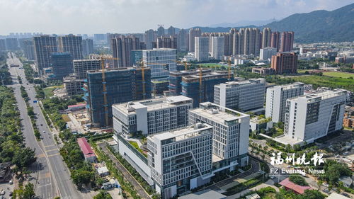 福州高新區(qū)新洲村 科技促蝶變 茉莉賦新韻