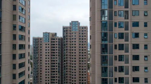 大增60 50家代表房企,拿地規(guī)模創(chuàng)7月以來新高