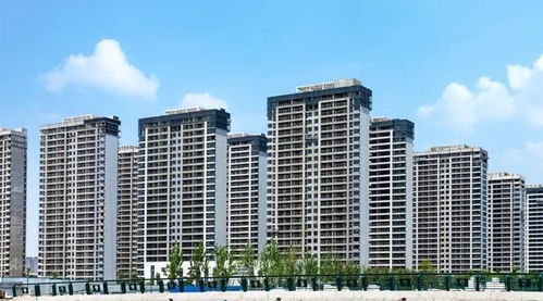 對房地產(chǎn)企穩(wěn)回升充滿信心 住建部部長最新表態(tài),防范化解 灰犀牛 風(fēng)險(xiǎn)