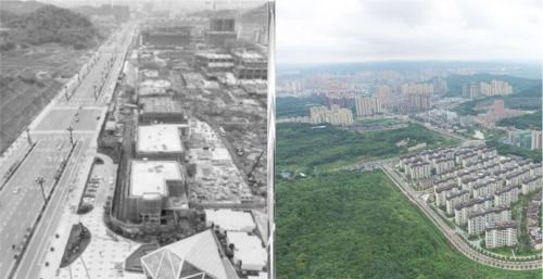 城市見證丨陽光大地在南充的生根與深耕