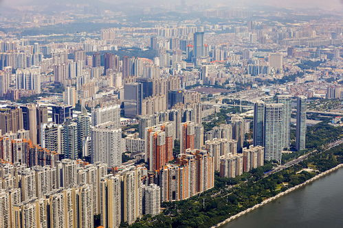 取消限購后杭州二手房成交大漲,帶看量創(chuàng)四年來新高