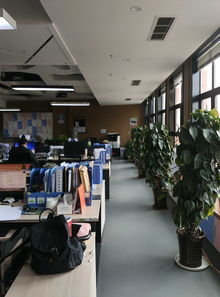 西藏神力實(shí)業(yè)集團(tuán)招聘信息 公司前景 規(guī)模 待遇怎么樣