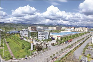 大竹這次把渠縣,宣漢都pk下去了