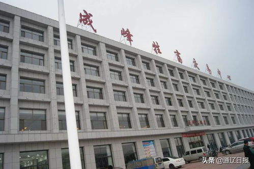 成峰牲畜交易市場 發(fā)展牛產(chǎn)業(yè) 讓貧困戶過上 牛 日子