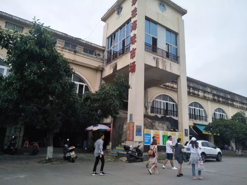 暑假實踐 農(nóng)產(chǎn)品特色營銷新模式