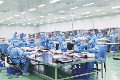 小土豆驅(qū)動(dòng)大發(fā)展 全鏈條打造金產(chǎn)業(yè) 定西市發(fā)揮資源優(yōu)勢加快建設(shè)全國馬鈴薯全產(chǎn)業(yè)鏈發(fā)展高地