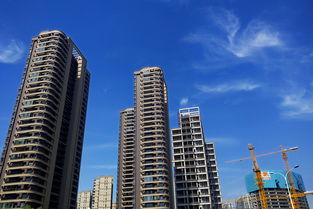 7月樓市調(diào)控逾40次