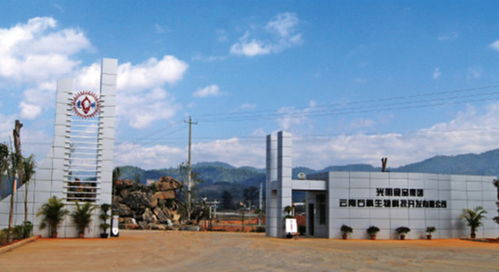 了不得 20家子公司 50大品牌 1600億營(yíng)收,這就是光明食品集團(tuán)