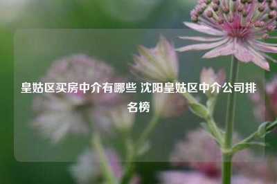 皇姑區(qū)買房中介有哪些 沈陽皇姑區(qū)中介公司排名榜